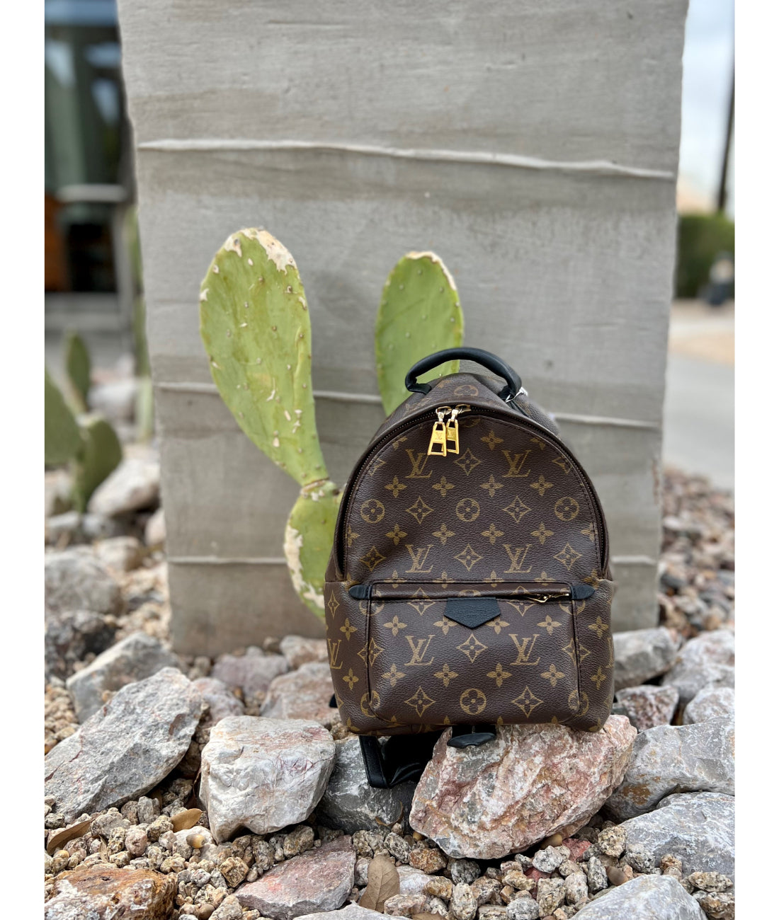 Resale Louis Vuitton Palm Springs PM