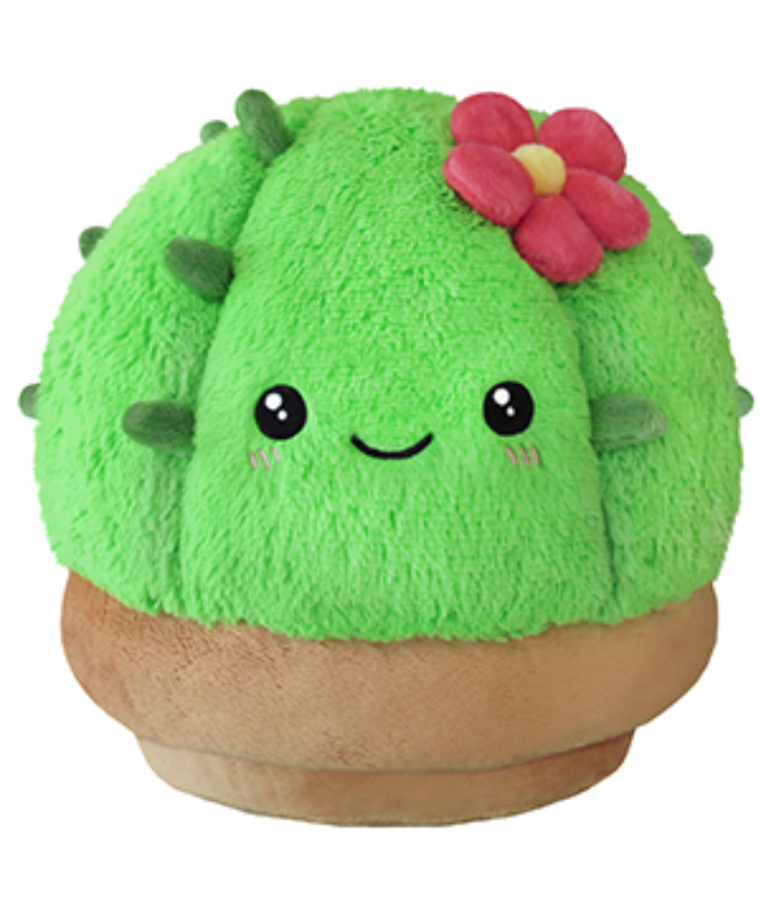 Squishable Cactus