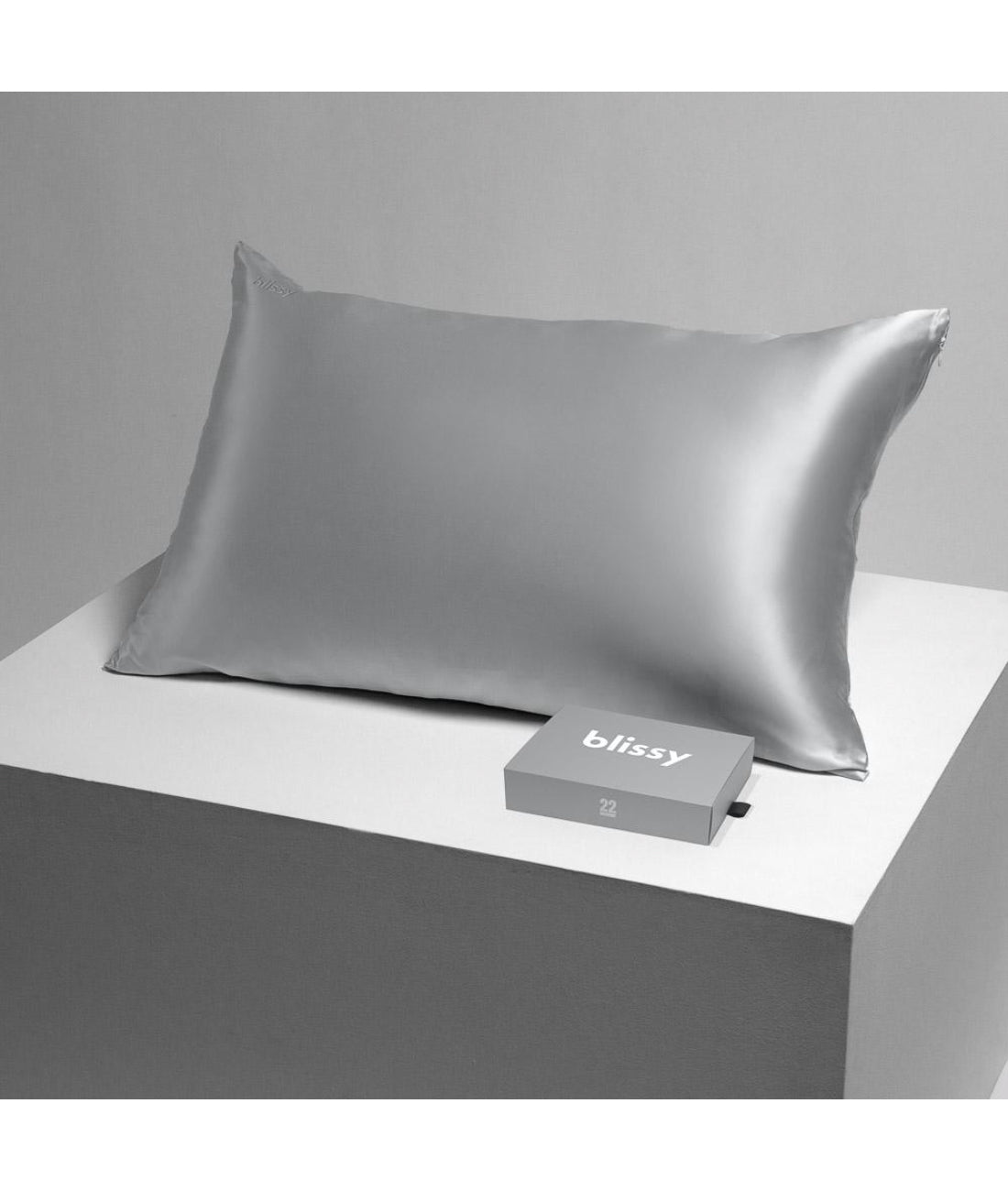 Blissy Pillow Case - Silver